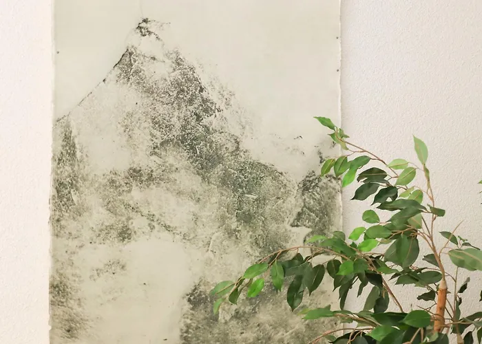 Matten - Utoring-19 By Interhome Apartment